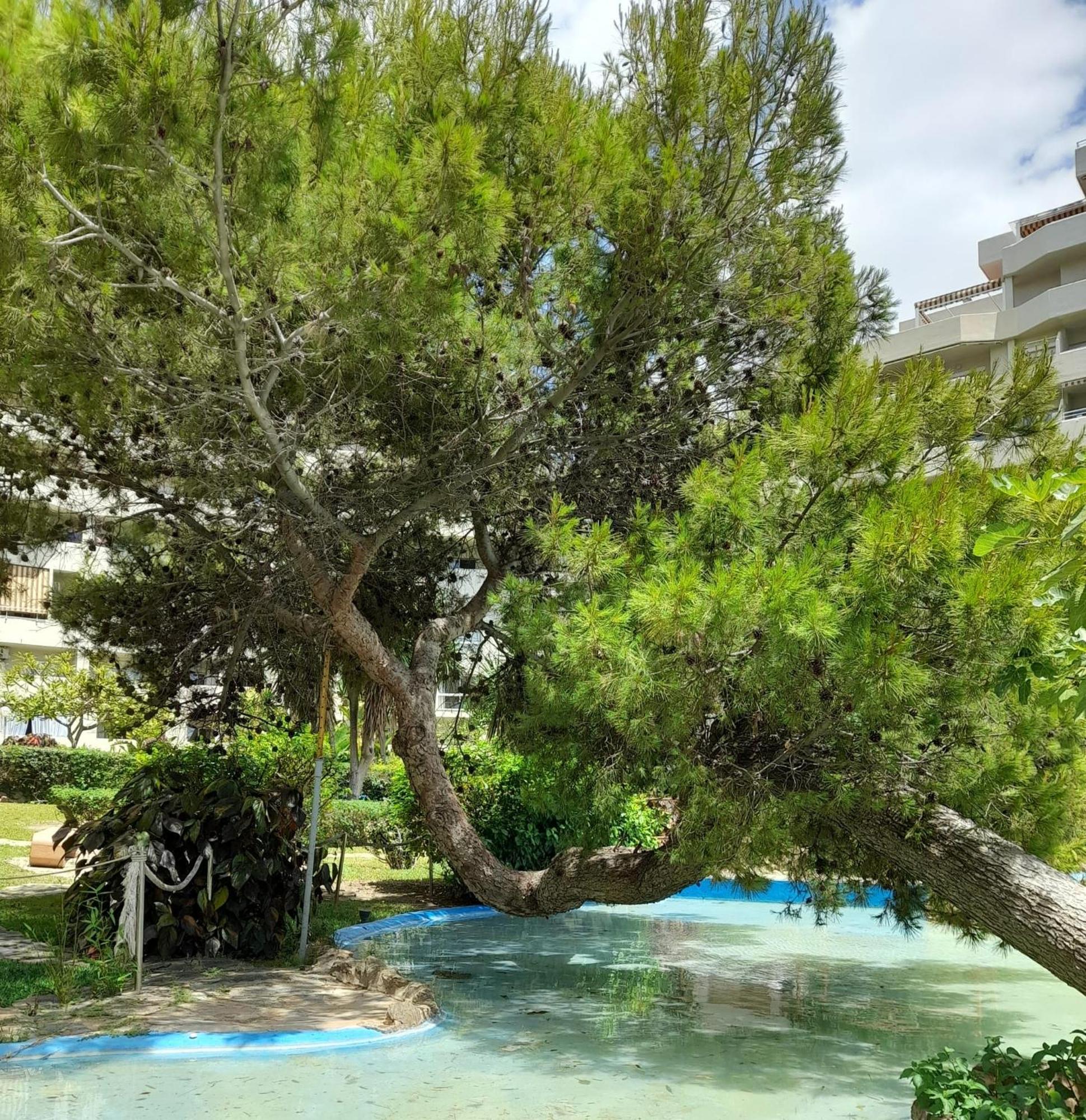 Benalbeach R&R Suite Benalmádena Kültér fotó
